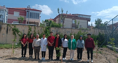 Gençlerden Çevreye Duyarlı Proje: Kompostla Hayat Bulan Bitkiler Maarifin Yüz Akı’nda