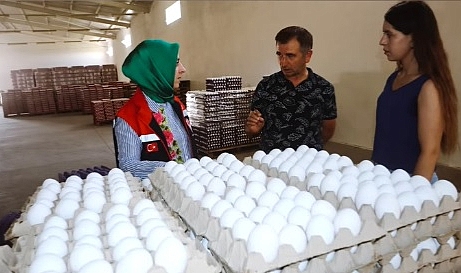 İl Müdürü Bulut’tan Coşkunlar Tavukçuluk’a Ziyaret