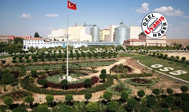 Karaman Ekonomisi İçin Alarm! Karaman'da İhracat Haziran Ayında Düştü
