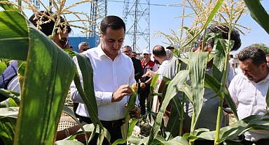 Kazımkarabekir'de Süt Mısır Hasadı Yapıldı