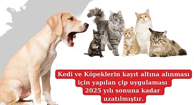 Mikroçip süresi uzatıldı