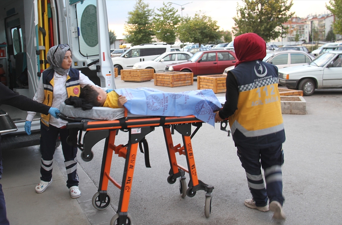 Parkta sokak köpeklerinin saldırısına uğrayan 6 yaşındaki çocuk yaralandı