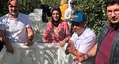 Tarım ve Orman Bakanlığı Uzmanı Kenan Şahin Karaman'da elma hasadına katıldı