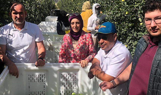 Tarım ve Orman Bakanlığı Uzmanı Kenan Şahin Karaman'da elma hasadına katıldı