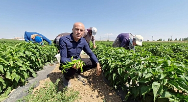 Tarımda Planlı üretim dönemi başlıyor