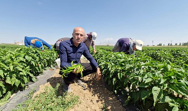 Tarımda Planlı üretim dönemi başlıyor