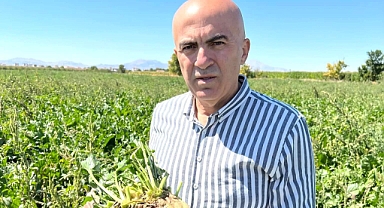 Üretici mısır ve pancarda maliyeti karşılayacak bir taban fiyatı açıklamasını bekliyor