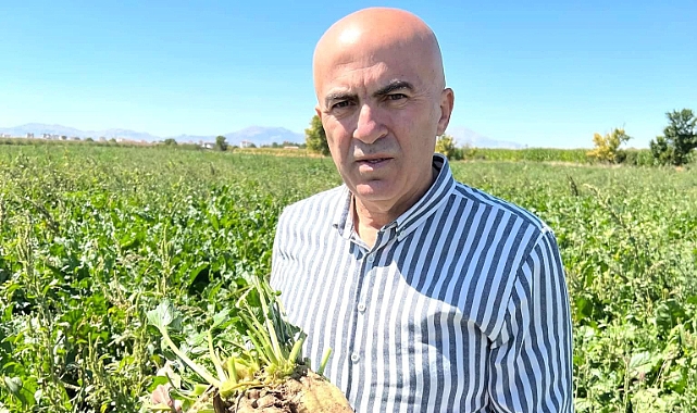 Üretici mısır ve pancarda maliyeti karşılayacak bir taban fiyatı açıklamasını bekliyor