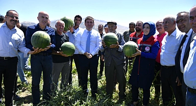 Volkanik Toprakların Eşsiz Lezzeti: Ortaoba Karpuzu
