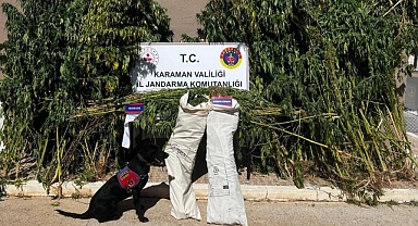 Jandarmadan ve Flash’tan kaçamadılar
