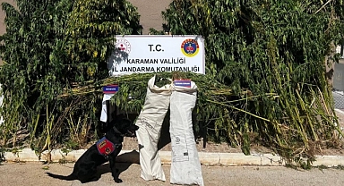 Jandarmadan ve Flash’tan kaçamadılar