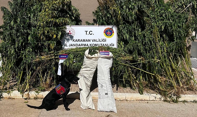 Jandarmadan ve Flash’tan kaçamadılar