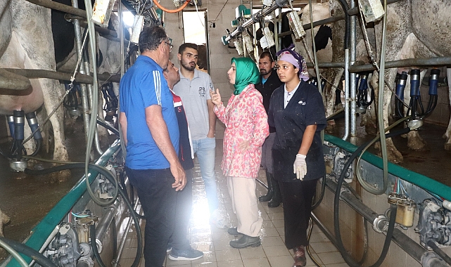 Karadağın Eteklerinde Ünsaylar Tarım ve Hayvancılık Göz Kamaştırıyor