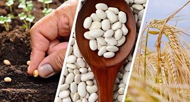 Karaman'da 2 bin 433 üreticiye 13 milyon liralık Sertifikalı Tohum Kullanım Desteği