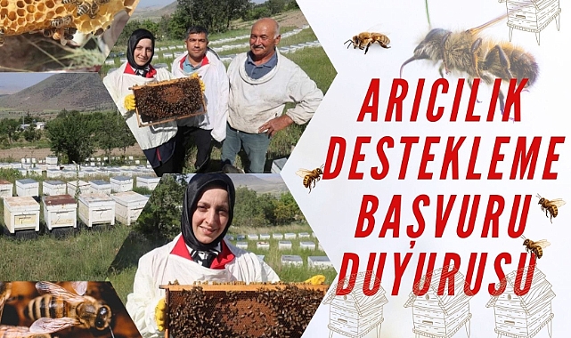 Karaman'daki arıcılar dikkat!