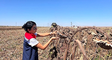 Koca, üreticileri ziyaret etti