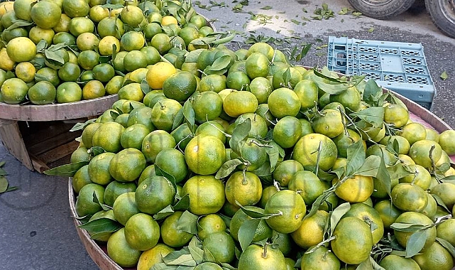 Mandalina Tezgaha İndi