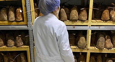 Süt ve Ürünleri Üretim İşletmelerinde denetim yapıldı