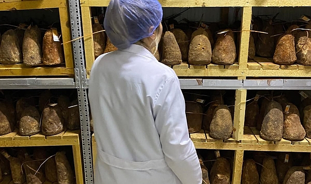 Süt ve Ürünleri Üretim İşletmelerinde denetim yapıldı