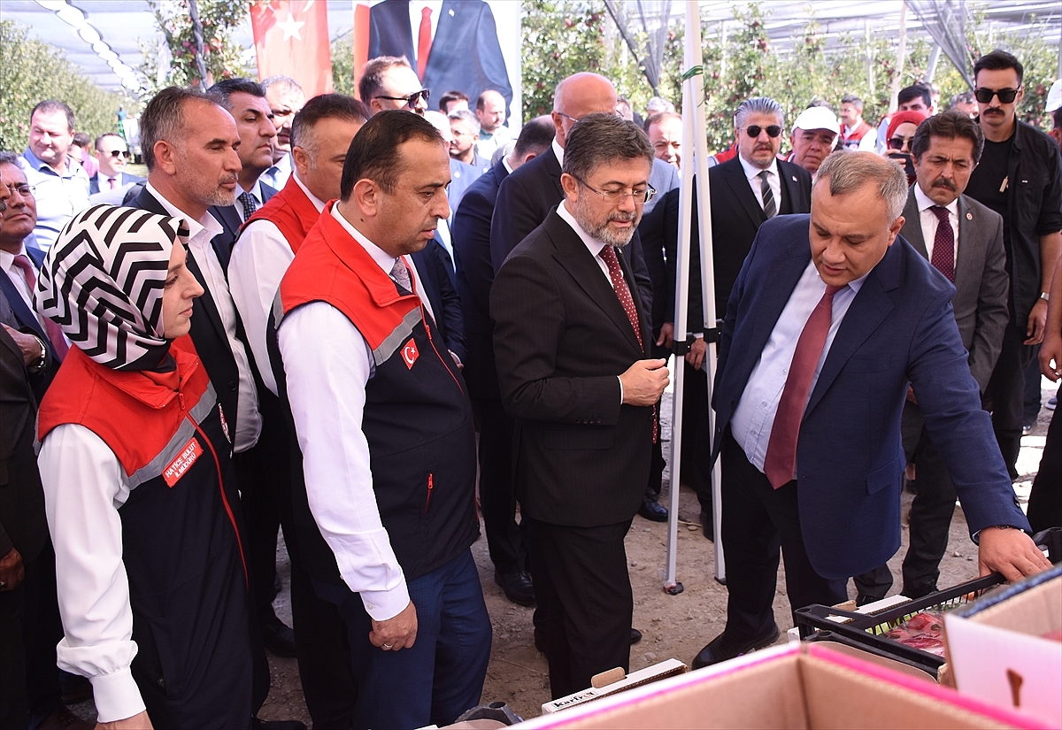 Tarım ve Orman Bakanı Yumaklı, Karaman'da elma hasadına katıldı