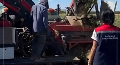 Türkiye'de 7. Sırada Olduğumuz Ürün: Havuç