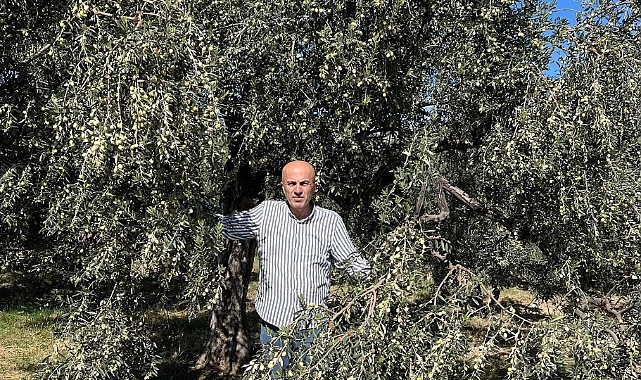 Bayram: Hedefimiz Zeytin Üretiminde Marka Olan Karaman'ımızın İlk 10 İl Arasında Yer Alması