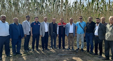 Çumra'da Hasadı Yapıldı! Karaman'da Kenevir Ekilmesi İçin Girişimler Sürüyor