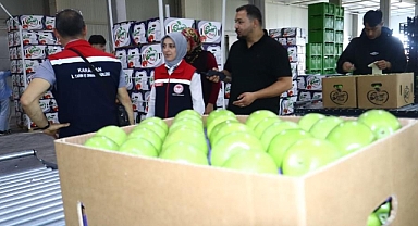 İl Müdürü Bulut, Soğuk Hava Depolarını ziyaret etti
