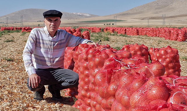 İslihisar köyünde soğan hasadı sürüyor