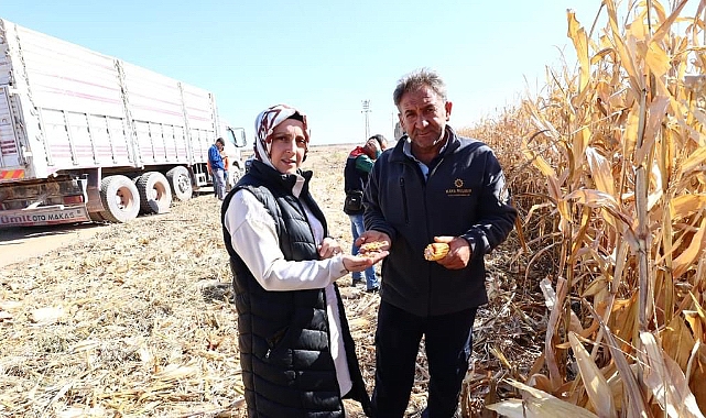 Karaman’da mısır hasadında sona doğru