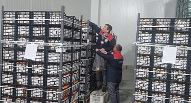 Karaman Elması Dünyanın Her Yerinde