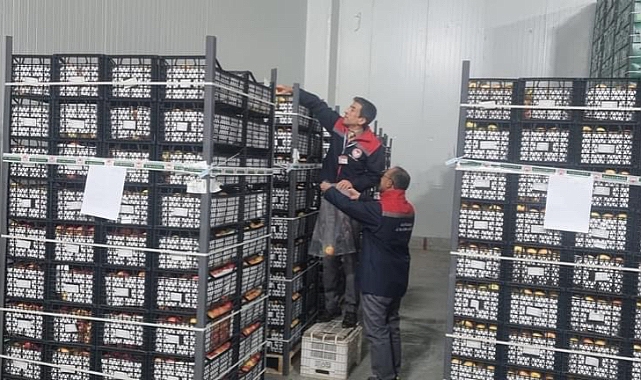 Karaman Elması Dünyanın Her Yerinde 