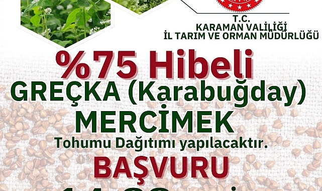 Karamanlı Üreticiye Karabuğday ve Mercimek Tohumu Desteği
