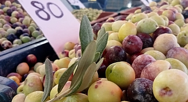 Sofraların Vazgeçilmez Yeşil Zeytin Tezgaha Çıktı