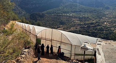 Torosların eteğinde kurdukları seralarda sebze ve meyve üretiyorlar