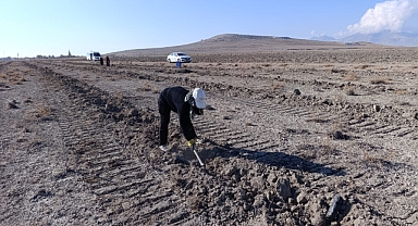 Amenajman Projesi Kapsamında Atriplex ve Kochia Bitkilerinin Dikimi Başladı