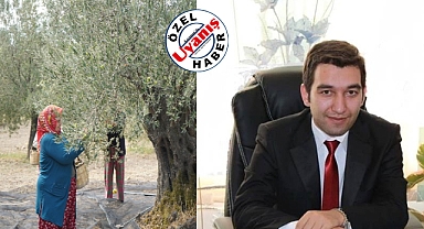 Av. Hüseyin Mutlu, Zeytin Kartellerinin Fiyat Düşürmesini Rekabet Kuruluna Taşıyor