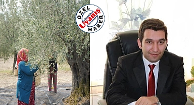 Av. Hüseyin Mutlu, Zeytin Kartellerinin Fiyat Düşürmesini Rekabet Kuruluna Taşıyor