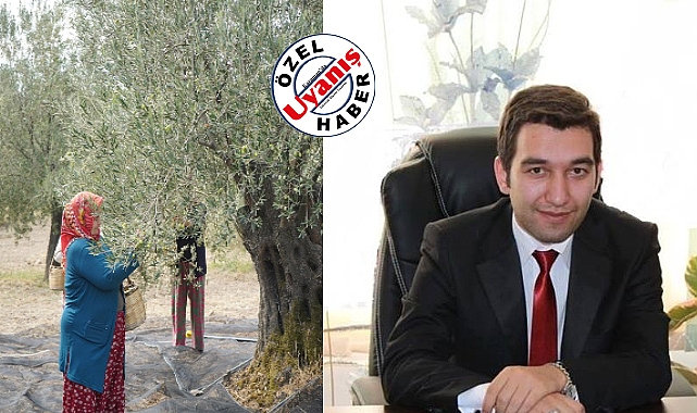 Av. Hüseyin Mutlu, Zeytin Kartellerinin Fiyat Düşürmesini Rekabet Kuruluna Taşıyor