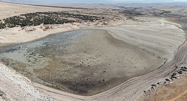 Ayrancı Barajı'nda Su Seviyesi Düştü! Balıklar Telef Oldu