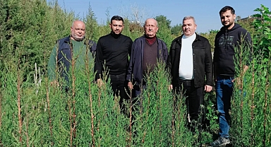 Başkan Yeşildaş:
