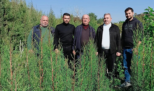 Başkan Yeşildaş: " Yarınlara İnanıyor, Binlerce Fidanı Toprakla Buluşturuyoruz."