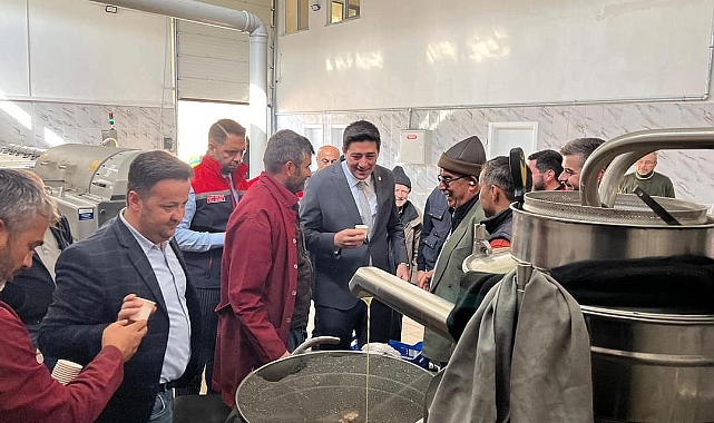 Ermenek’te 5 bin tonun üzerinde zeytinyağı üretimi bekleniyor