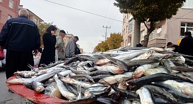 Hamsinin fiyatı düşmeye devam ediyor