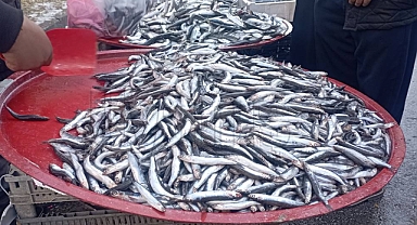 Havalar soğudu, balığa ilgi arttı! 