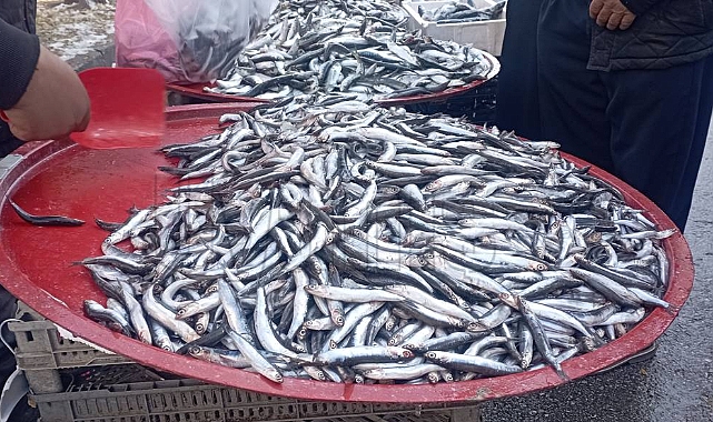 Havalar soğudu, balığa ilgi arttı!