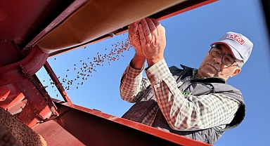 Islah edilen ata tohumu Ahmet buğdayı ikinci ekim sezonunda toprakla buluştu