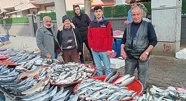 Karaman'da hamsinin fiyatı düştü