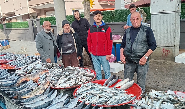 Karaman'da hamsinin fiyatı düştü