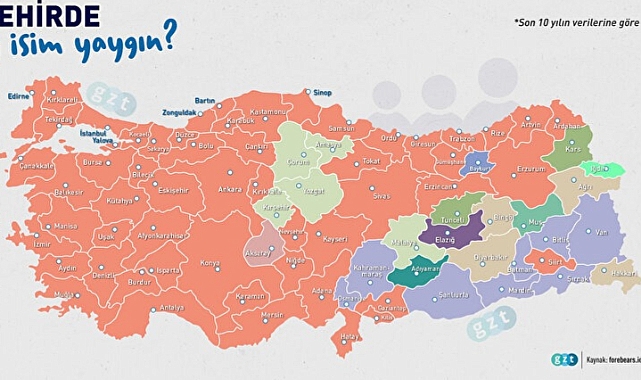 Karaman'da Hangi Soy İsim Yaygın?
